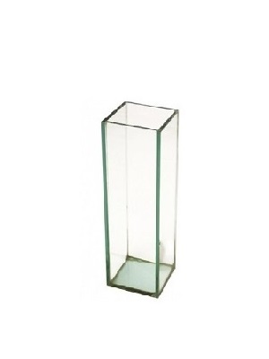 Comprar Caixas de vidro para plantas e flores V1