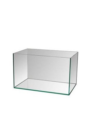 Comprar Caixas de vidro para plantas e flores V3